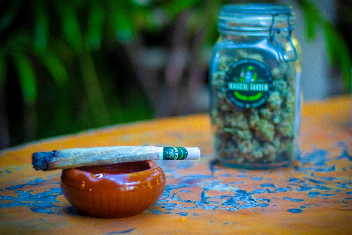 Premium cannabis products at Magical Weed Garden