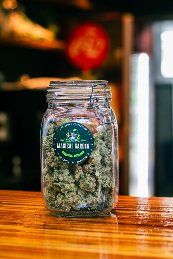 Premium Cannabis detail 1