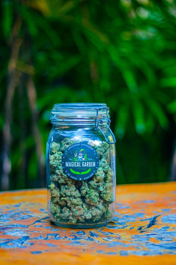Cannabis Jar Display