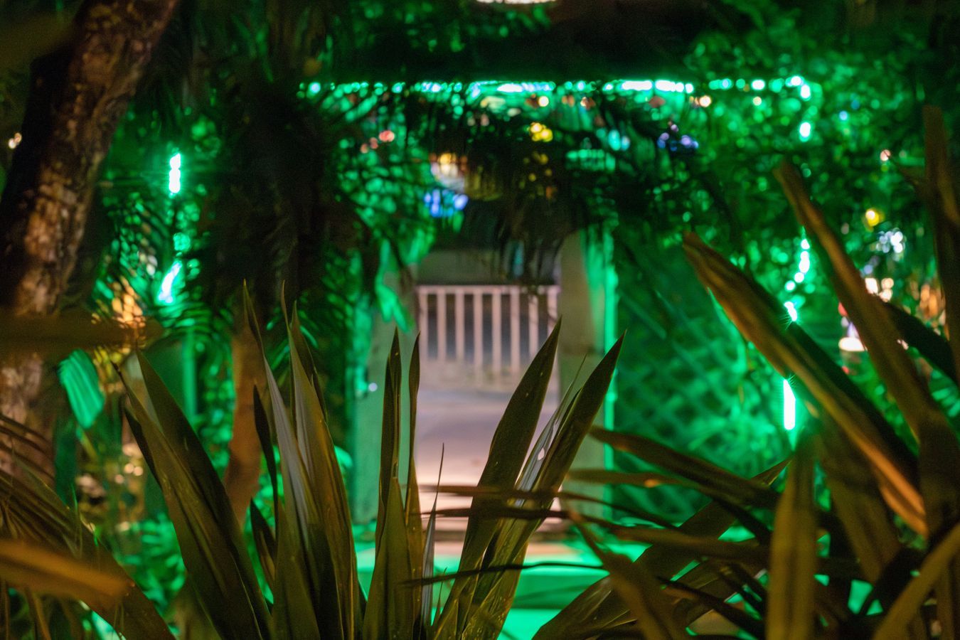 Magical garden with green lighting and foliage