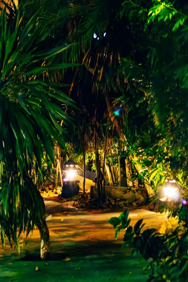 Tropical Pathway